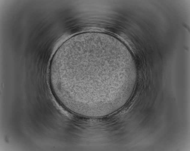 X0000094801379200712141643