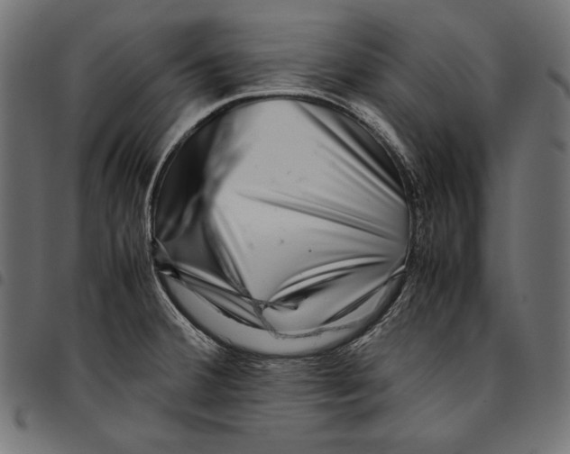 X0000094801380200712141643