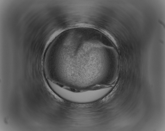 X0000094801381200712141643