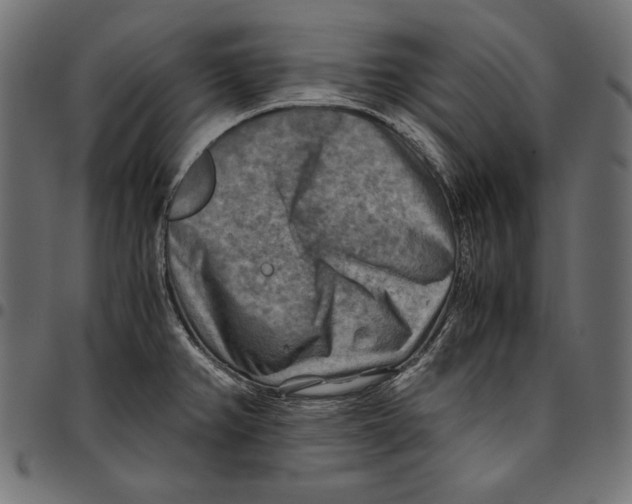 X0000094801382200712141643