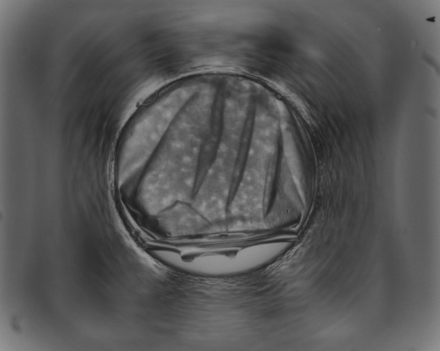 X0000094801383200712141643