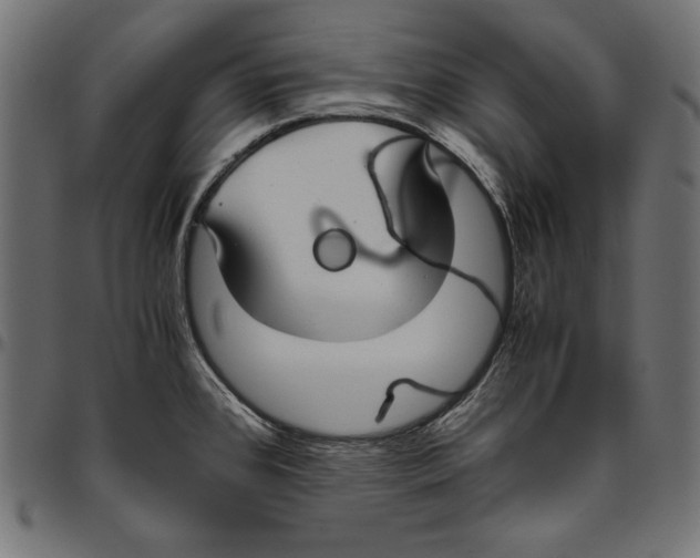 X0000094801384200712141643