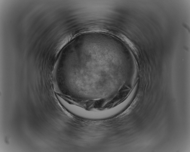 X0000094801385200712141643