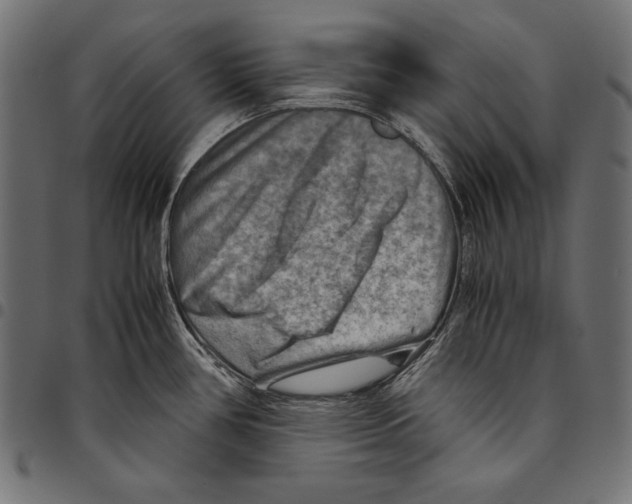 X0000094801386200712141643