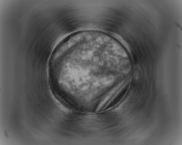 X0000094801388200712141643