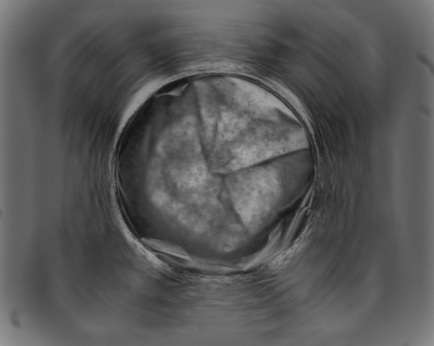 X0000094801389200712141643