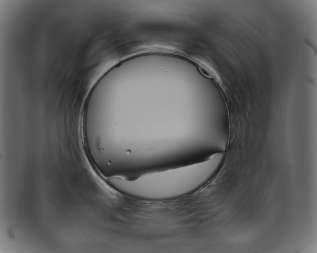 X0000094801391200712141643