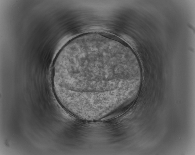 X0000094801392200712141642