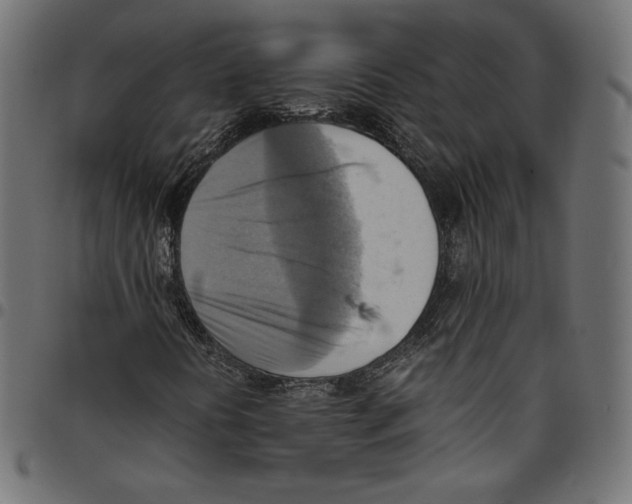 X0000094801394200712141642