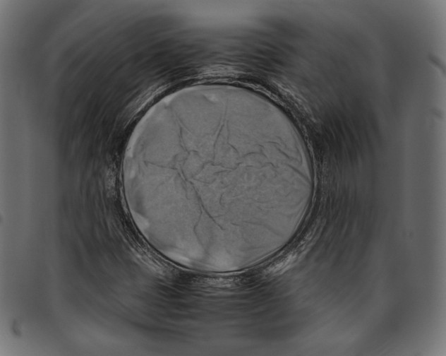 X0000094801401200712141642