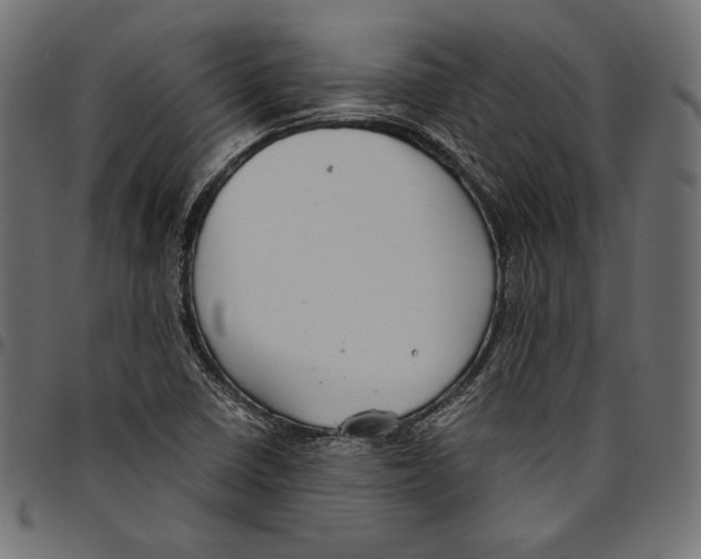 X0000094801410200712141642