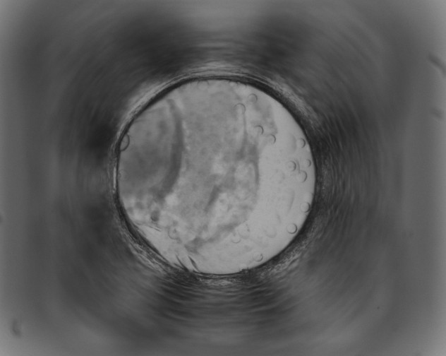 X0000094801413200712141642