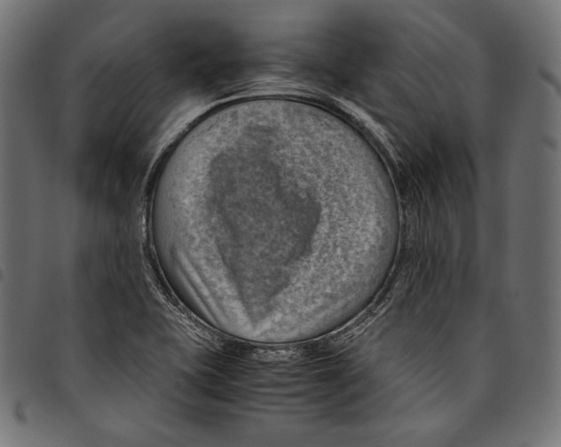 X0000094801415200712141642