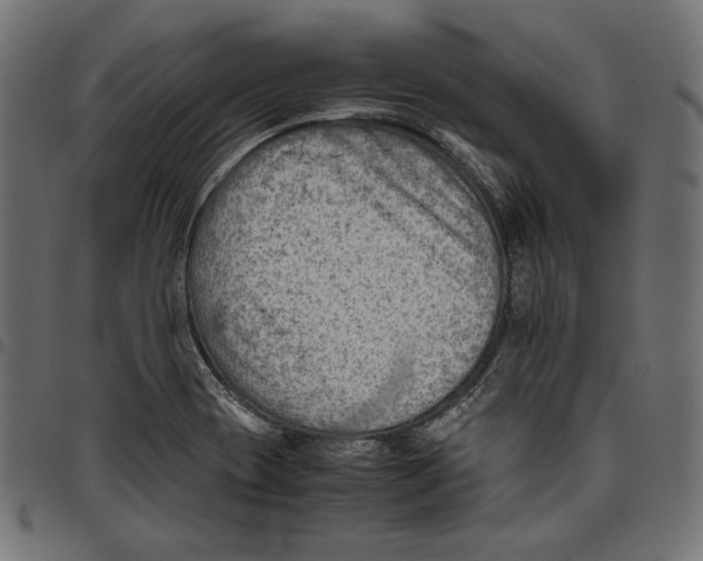 X0000094801417200712141642