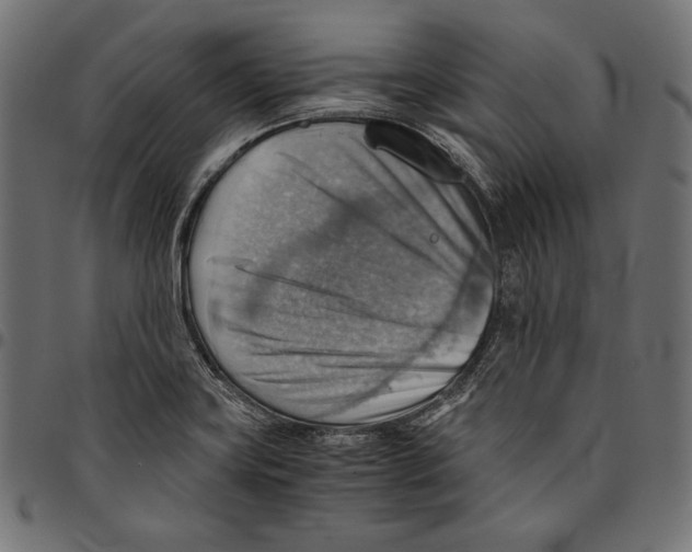 X0000094801419200712141642