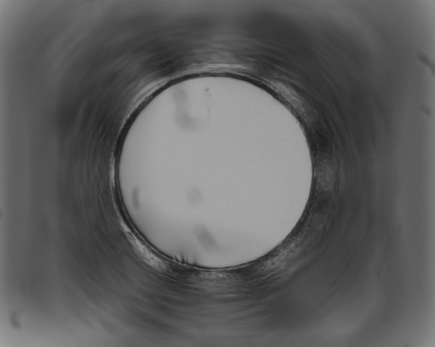 X0000094801420200712141642