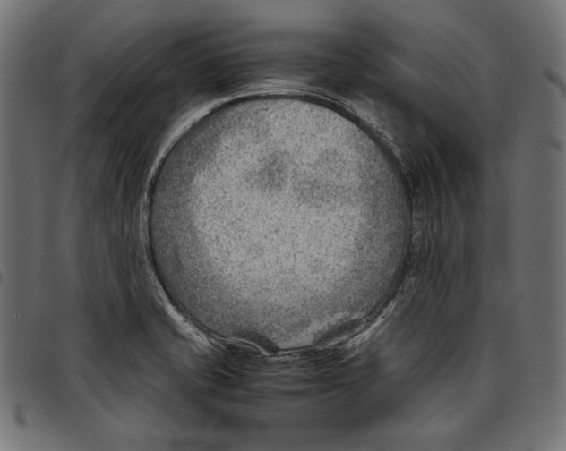 X0000094801421200712141642