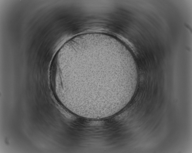 X0000094801423200712141642