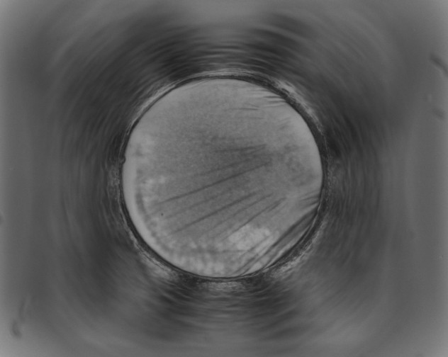 X0000094801425200712141642