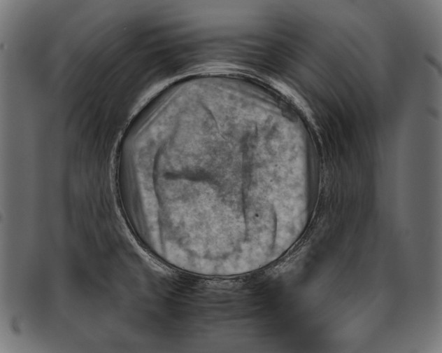 X0000094801429200712141642