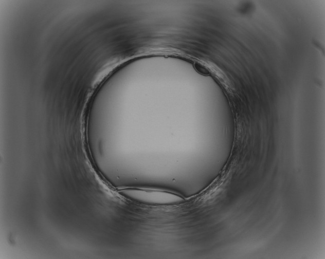 X0000094801430200712141642