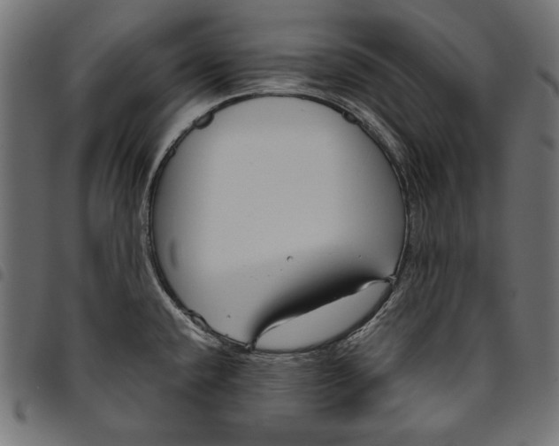 X0000094801432200712141642