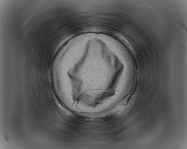 X0000094801433200712141642