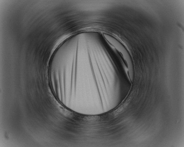 X0000094801434200712141642