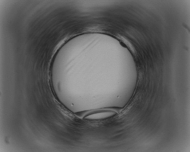 X0000094801435200712141642