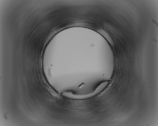 X0000094801436200712141642