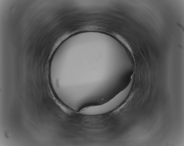 X0000094801437200712141642