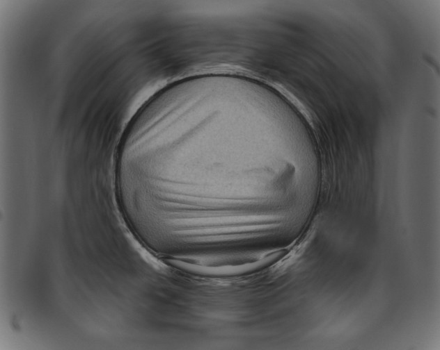 X0000094801438200712141642