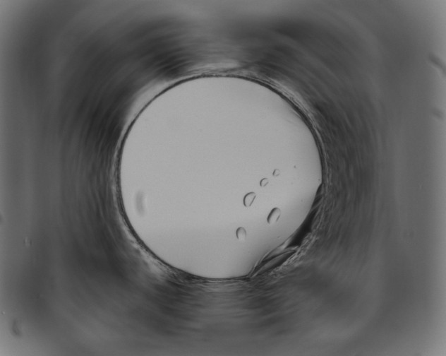 X0000094801440200712141642