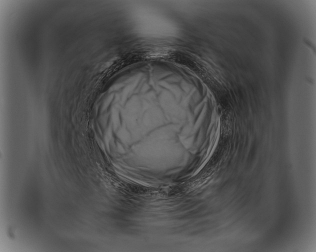 X0000094801441200712141642