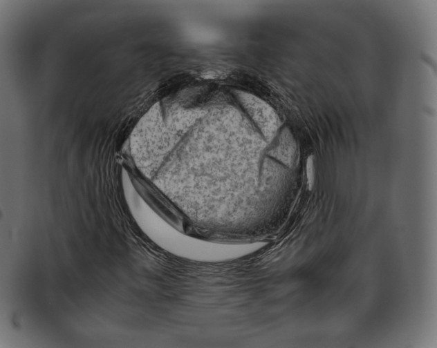 X0000094801443200712141642