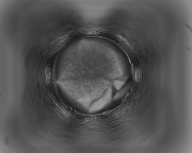 X0000094801444200712141642