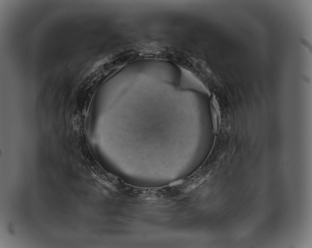 X0000094801445200712141642