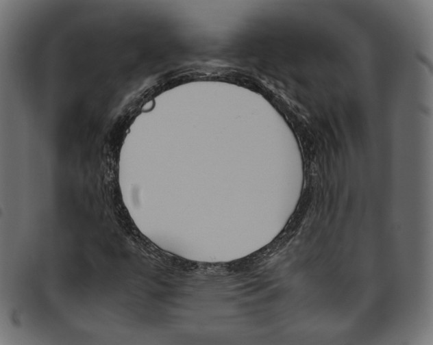 X0000094801447200712141642