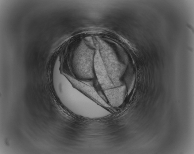 X0000094801448200712141642