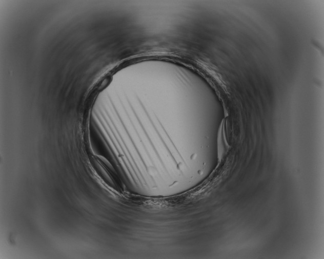 X0000094801452200712141641