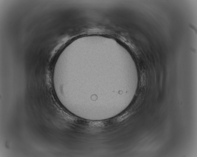 X0000094801454200712141641