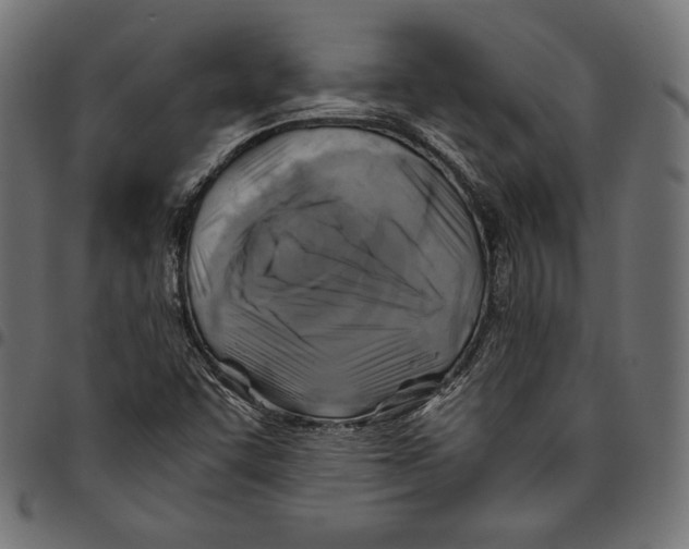 X0000094801455200712141641