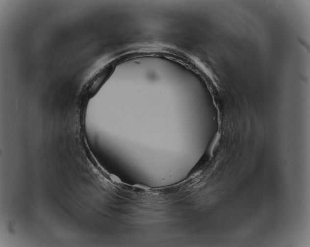 X0000094801456200712141641