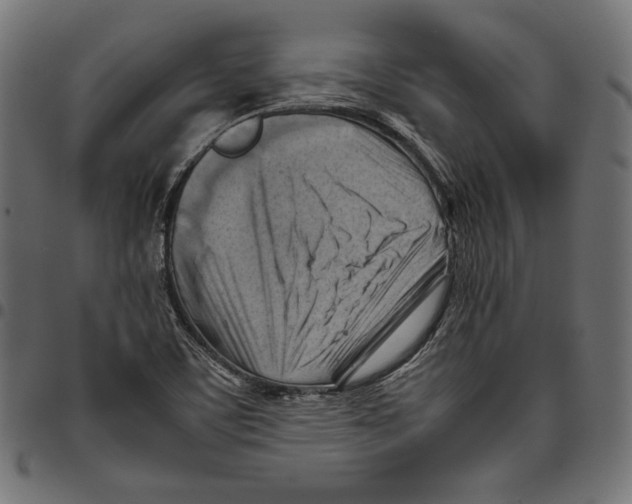 X0000094801459200712141641