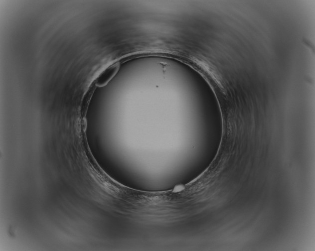 X0000094801460200712141641