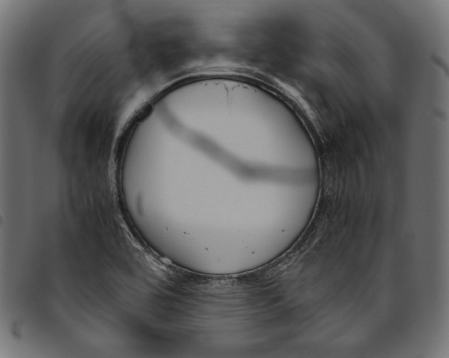 X0000094801464200712141641