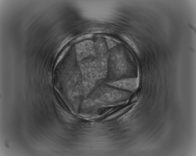 X0000094801465200712141641