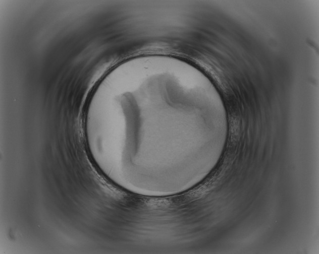 X0000094801466200712141641