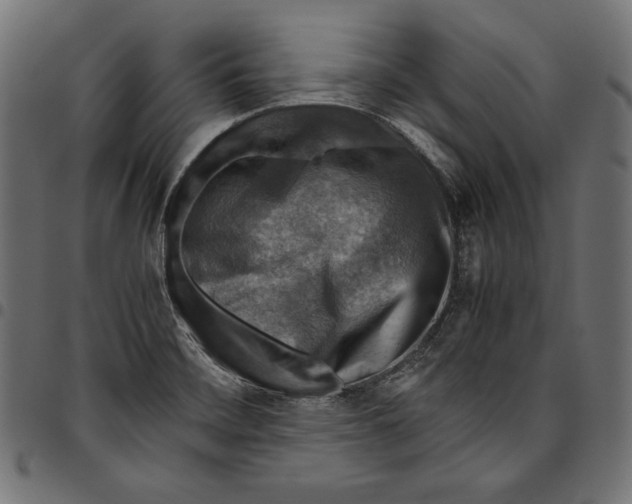 X0000094801468200712141641