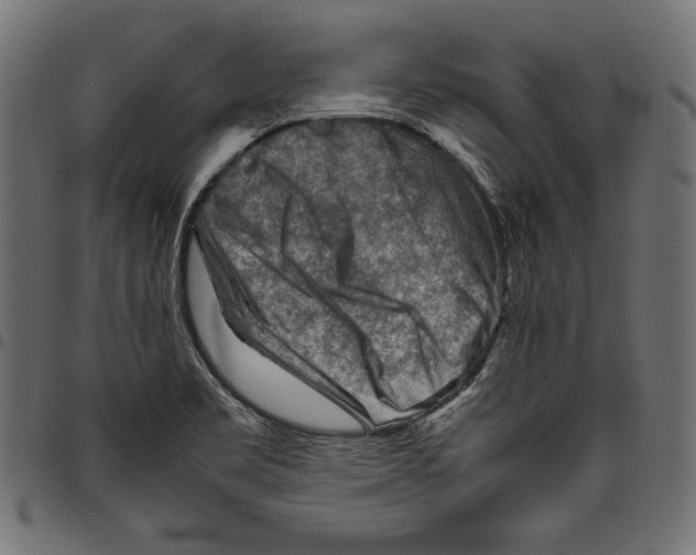 X0000094801469200712141641